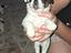 Immagine 4