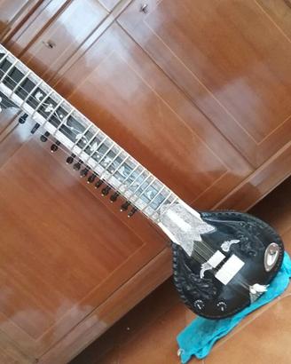 Sitar indiano amplificato
