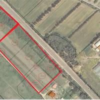 Lotti di 5000 mq pressi centro abitato