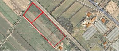 Lotti di 5000 mq pressi centro abitato