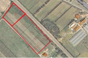 Lotti di 5000 mq pressi centro abitato