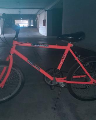Bicicl