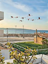 Casa campisi a 100 dal mare marzamemi