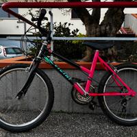 bicicletta mbt Vicini ruota 20