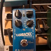 Flashback delay and looper