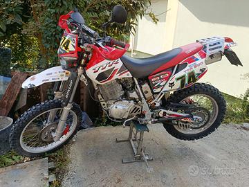 Yamaha ttr 600