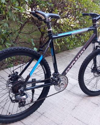 MOUNTAIN BIKE