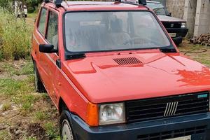 Panda Young 750