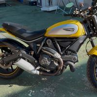 Ducati scrambler 800 del 2015