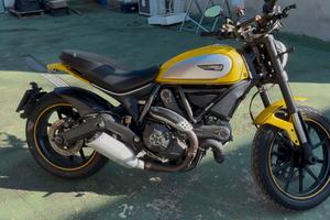Ducati scrambler 800 del 2015