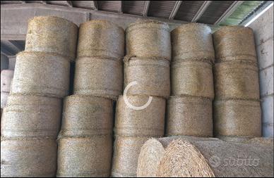 Balloni prato stabile polifita 