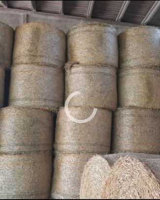 Balloni prato stabile polifita 