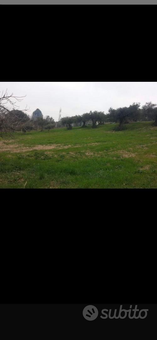 Terreno agricolo - Vista 3