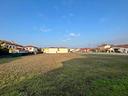 terreno-agricolo-montagnana-m79vrg-