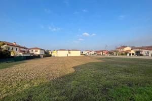 Terreno Agricolo Montagnana [M79VRG]