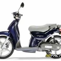 Carene per scarabeo 50 4t