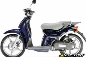 Carene per scarabeo 50 4t