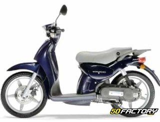 Carene per scarabeo 50 4t