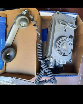 Telefono 3494284938