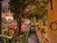 Immagine 25