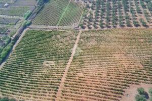 TERRENO A ALCAMO