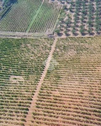 TERRENO A ALCAMO
