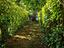 Immagine 15