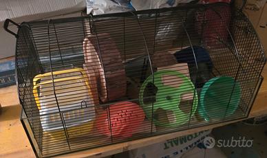 Gabbia in vetro + trasportino + accessori
