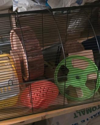 Gabbia in vetro + trasportino + accessori