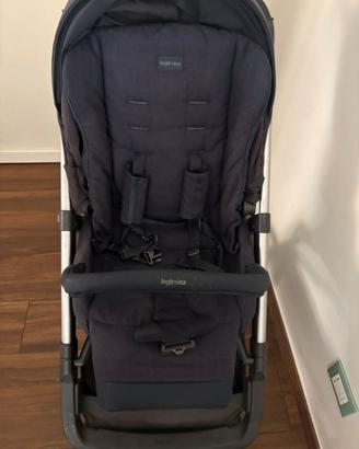 Duo aptica inglesina