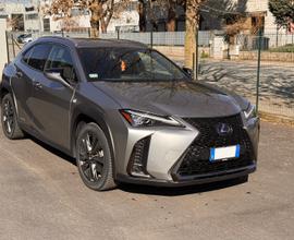 Lexus ux 250 f sport