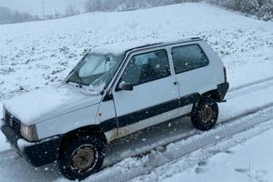 Panda  4 x 4 benzina e gpl