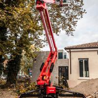 Taglia a raso albero potatura co cestello altezza 