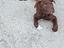 Immagine 6