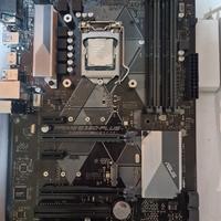 Prime B360 plus + i5 8600k