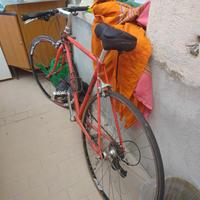 Bici Cinelli Proxima - Telaio Columbus 