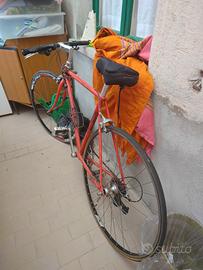 Bici Cinelli Proxima - Telaio Columbus 