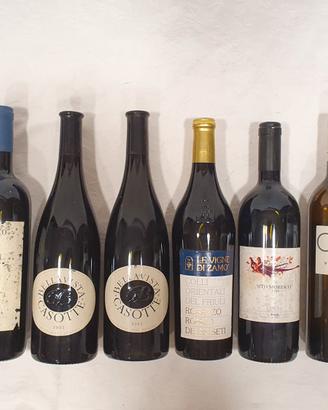 Vino bottiglie collezione 10 bottiglie 15-29 anni