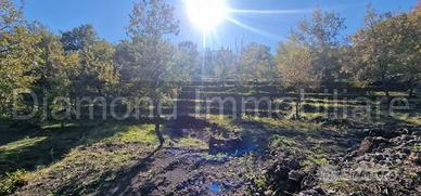 Terreno 3000mq panoramico con rudere a Presa