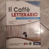 Il caffè letterario: Antologia dei promessi sposi