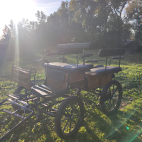 Carrozza pony/cavallo