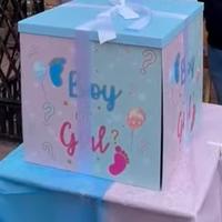 Scatola gender reveal
