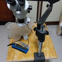 microscopio stereoscopico