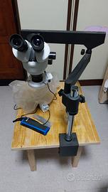 microscopio stereoscopico