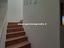 Immagine 13
