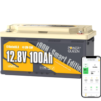 2 Batterie NUOVE al litio LiFePo