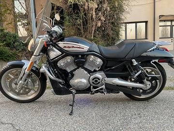 Harley Davidson VROD