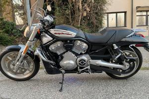 Harley Davidson VROD