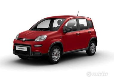 FIAT Panda 1.0 FireFly S&S Hybrid - (IMMAGINI...