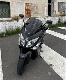 T max 500 - 2010